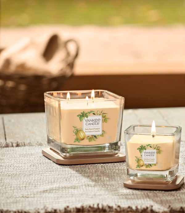 Yankee Candle - Fève Tonka & Potiron