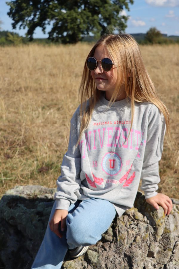 Sweatshirt Gris – Image 2