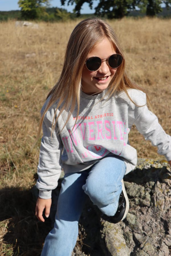 Sweatshirt Gris