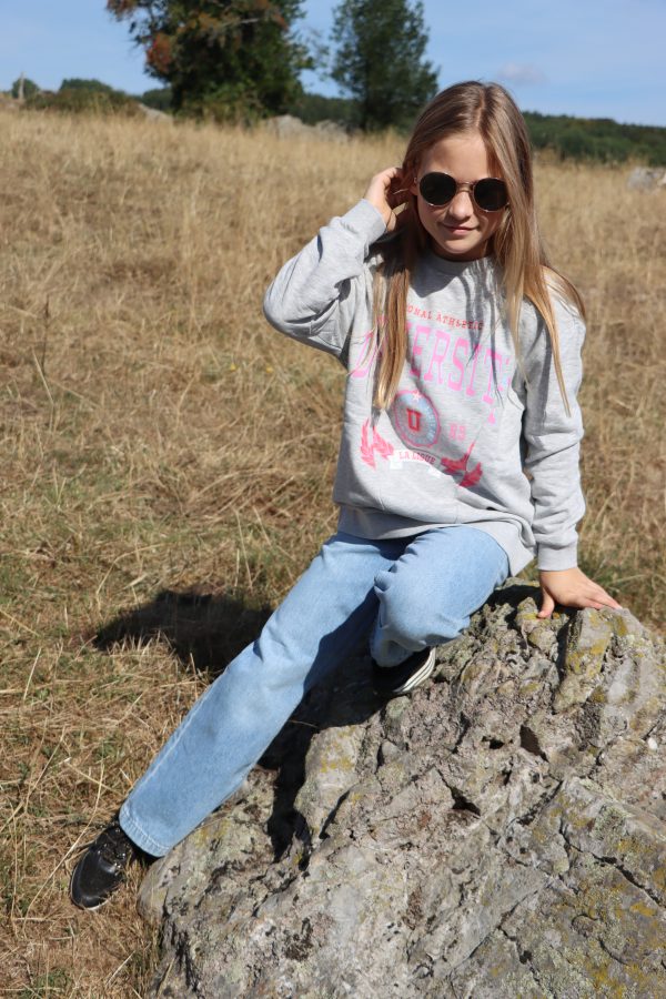 Sweatshirt Gris – Image 3
