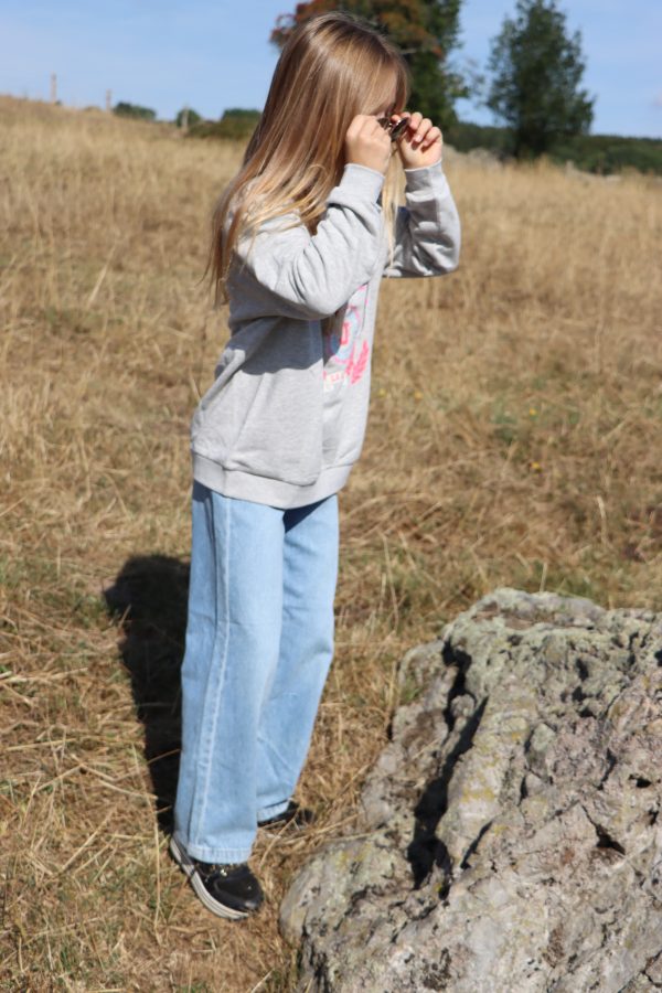 Sweatshirt Gris – Image 4